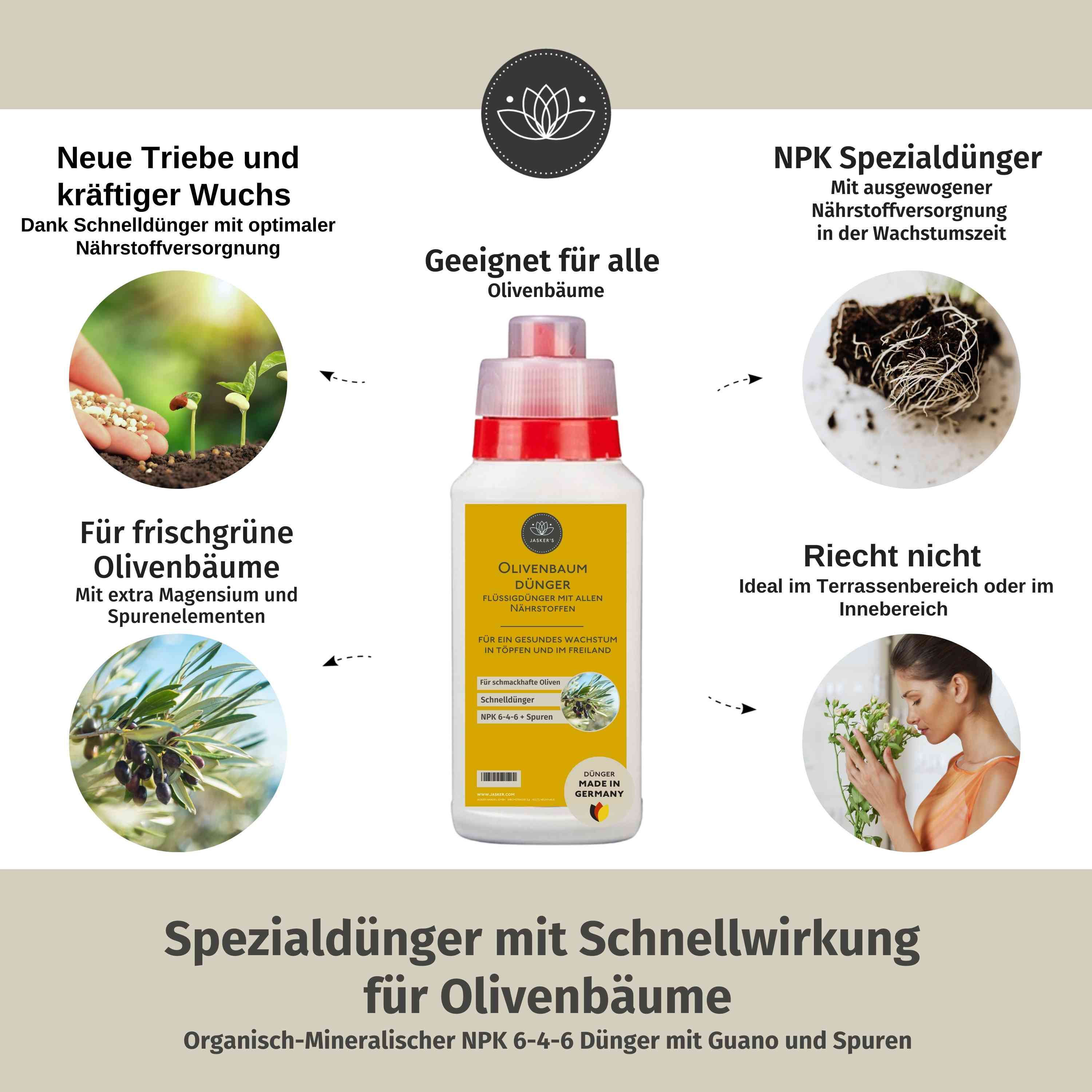 Olivenbaum Dünger flüssig 2 Liter - Oliven Dünger - Dünger für Olivenbaum