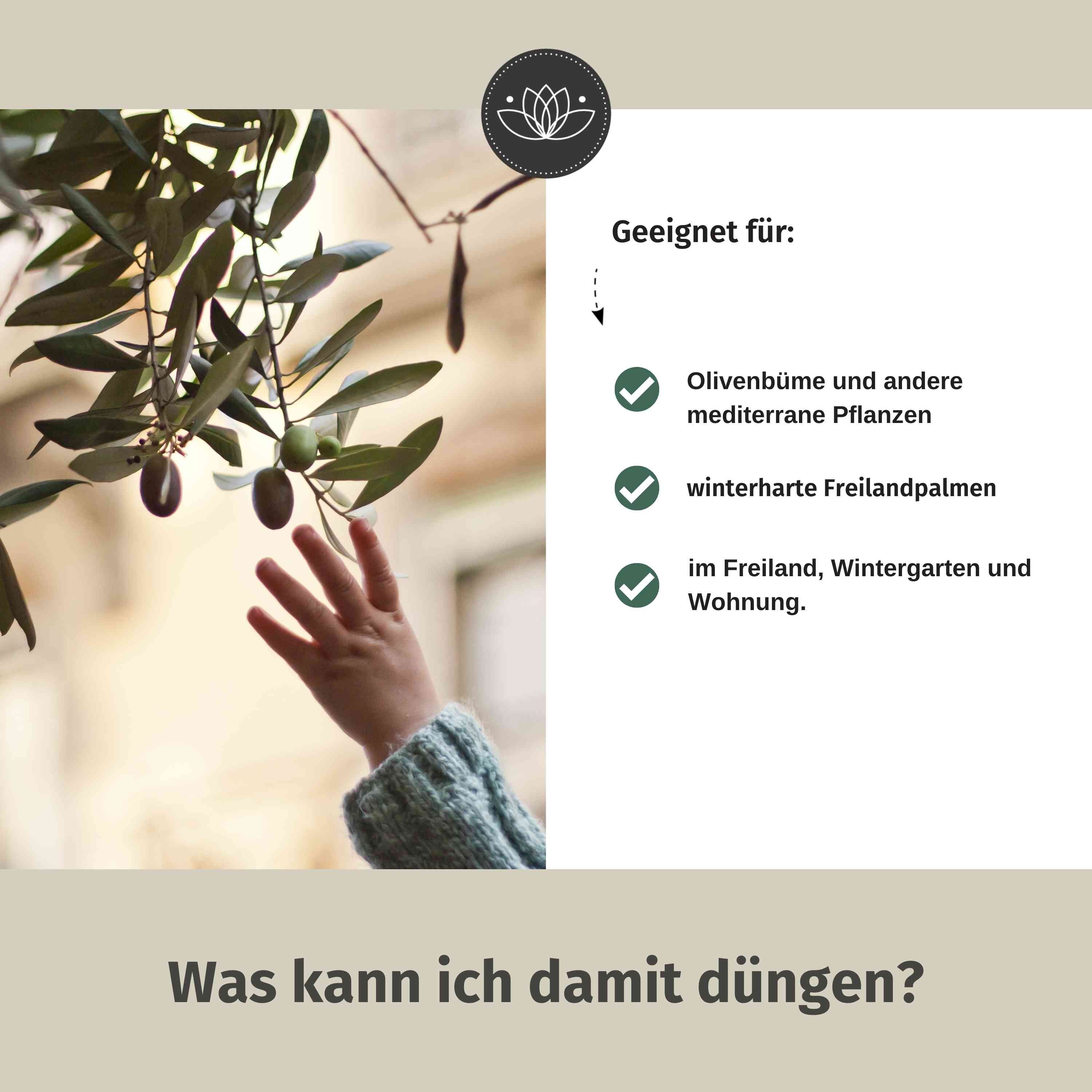 Olivenbaum Dünger flüssig 1 Liter - Oliven Dünger - Dünger für Olivenbaum