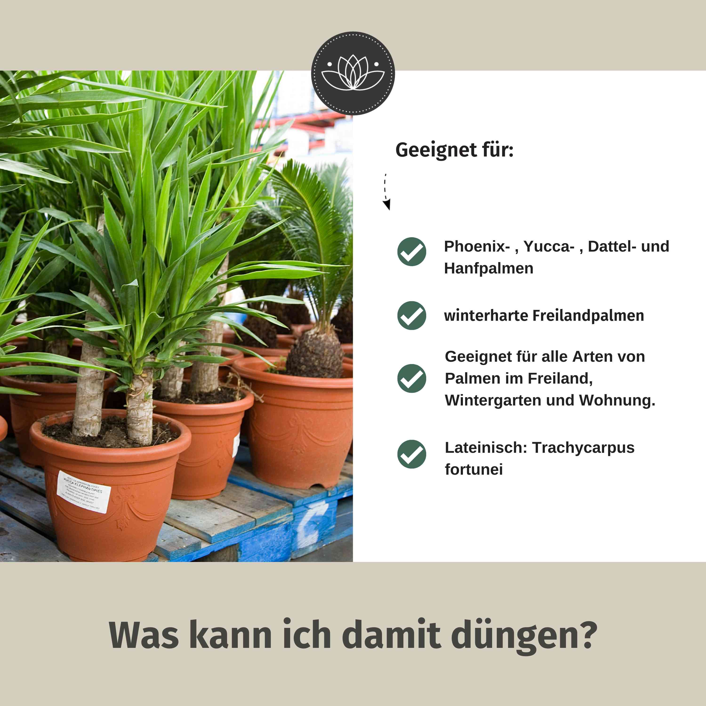 Palmen Dünger Granulat 3Kg - Für alle Palmen-Arten