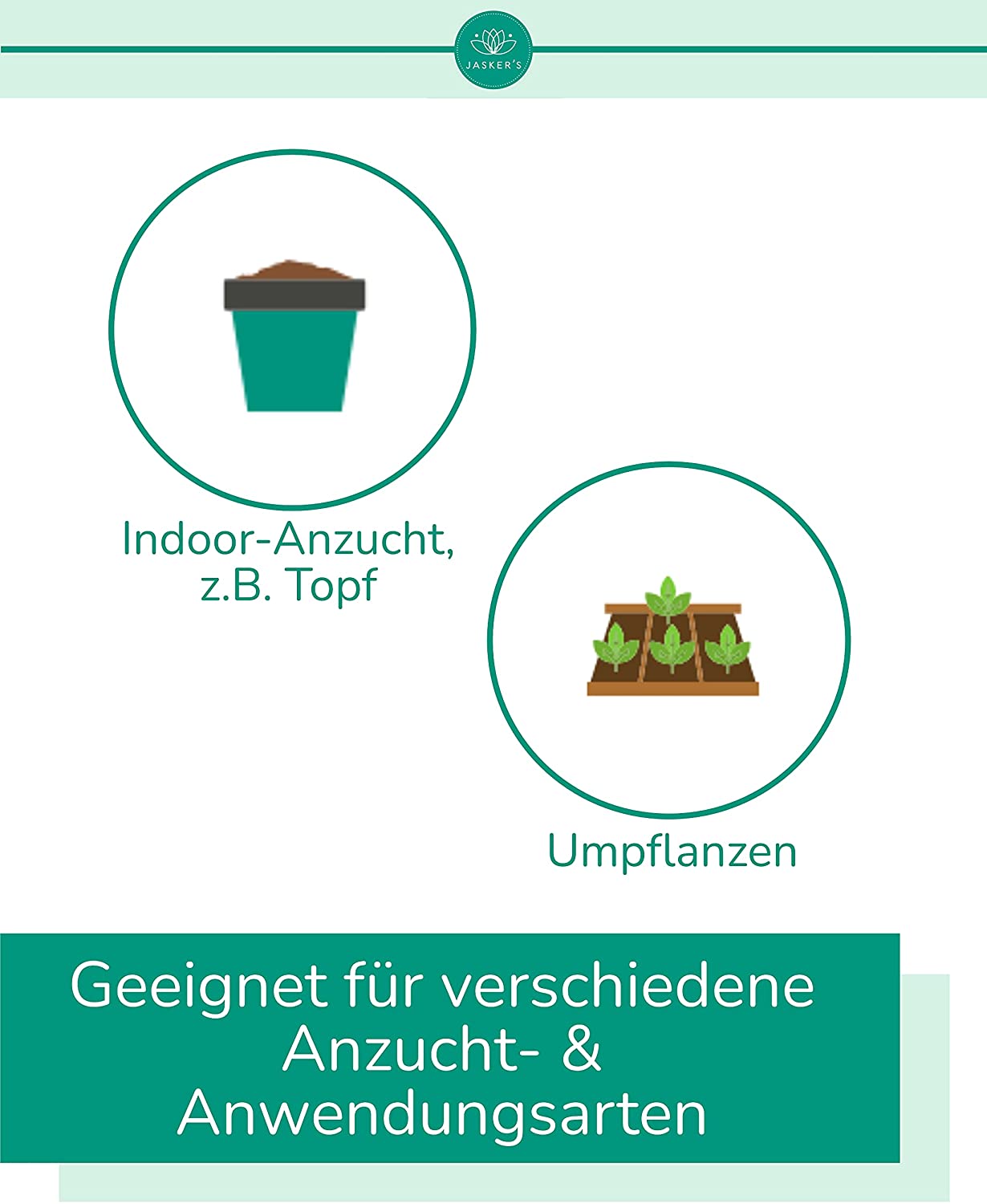 SPARSET Palmenerde Bio + 250ml Palmendünger | Premium Blumenerde Für Palmen