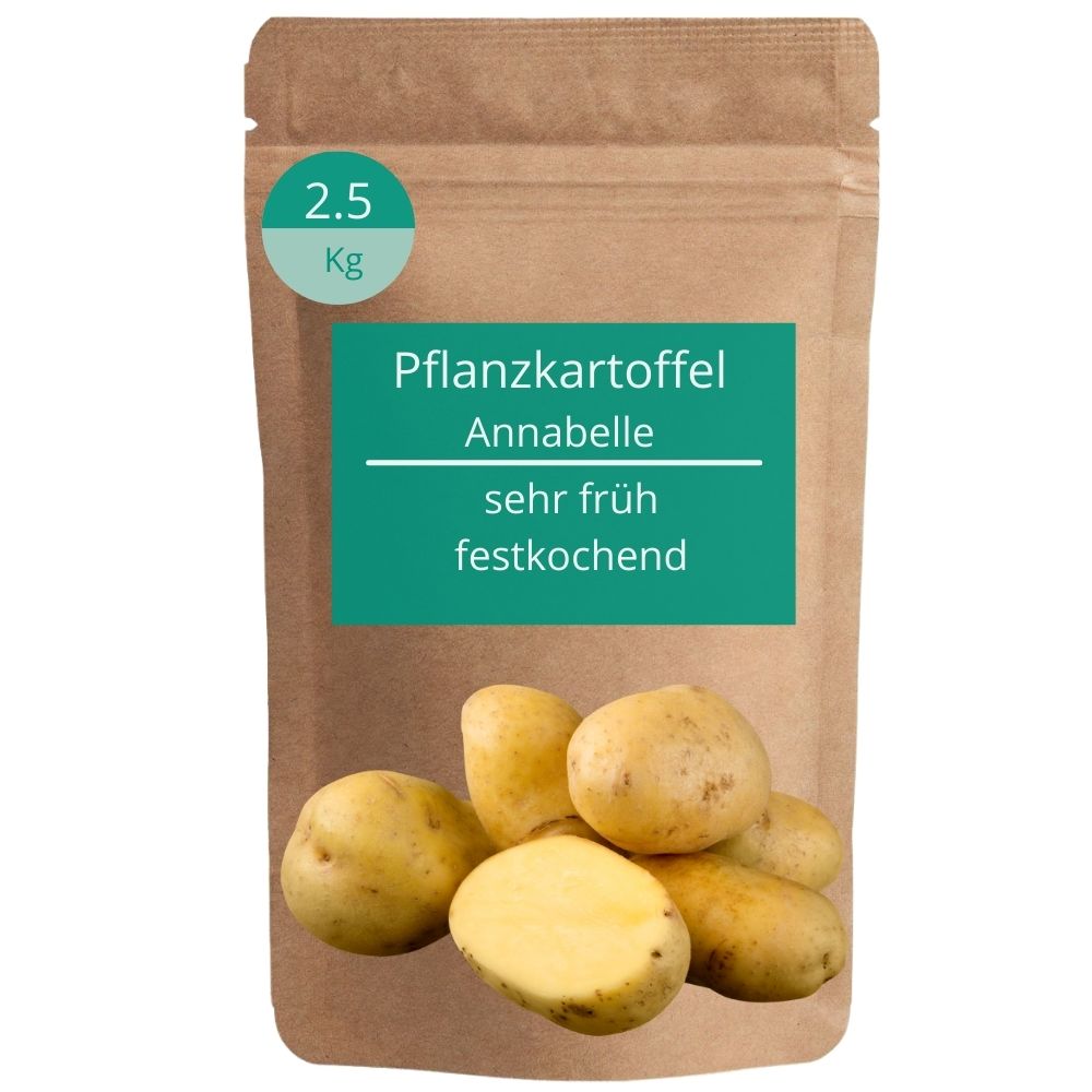 Pflanzkartoffel Annabelle festkochend - tiefgelb