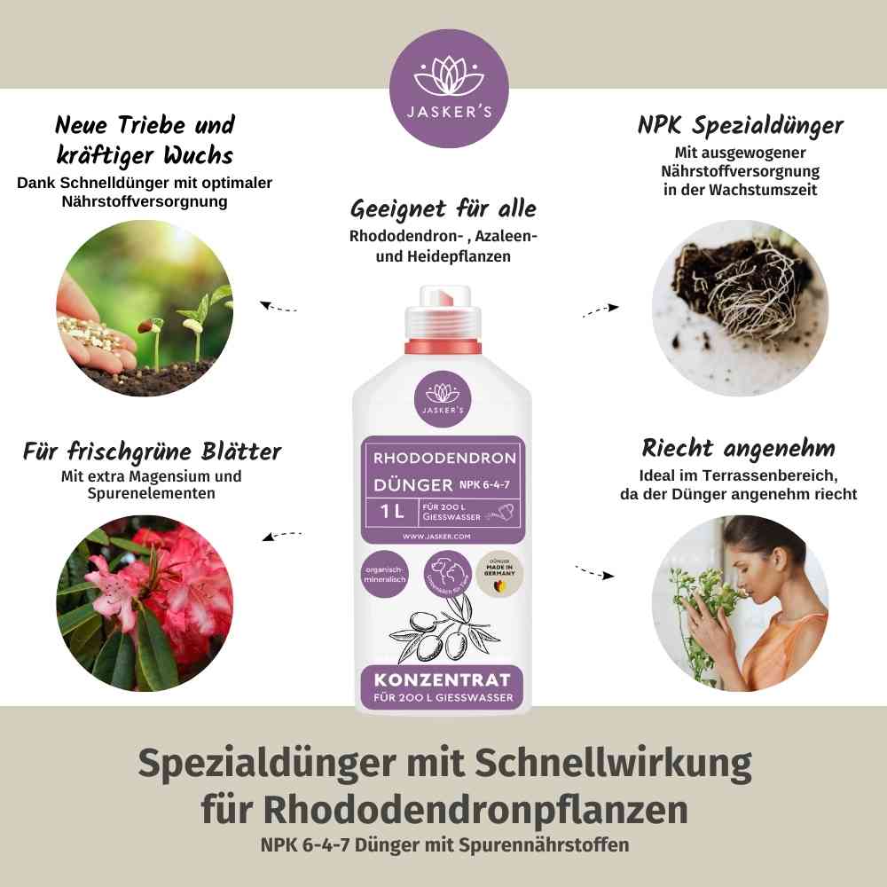 Rhododendron Dünger flüssig 3 L - Flüssigdünger für Rhododendron