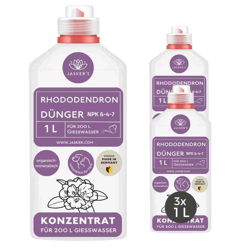 Rhododendron Dünger flüssig 3 L - Flüssigdünger für Rhododendron