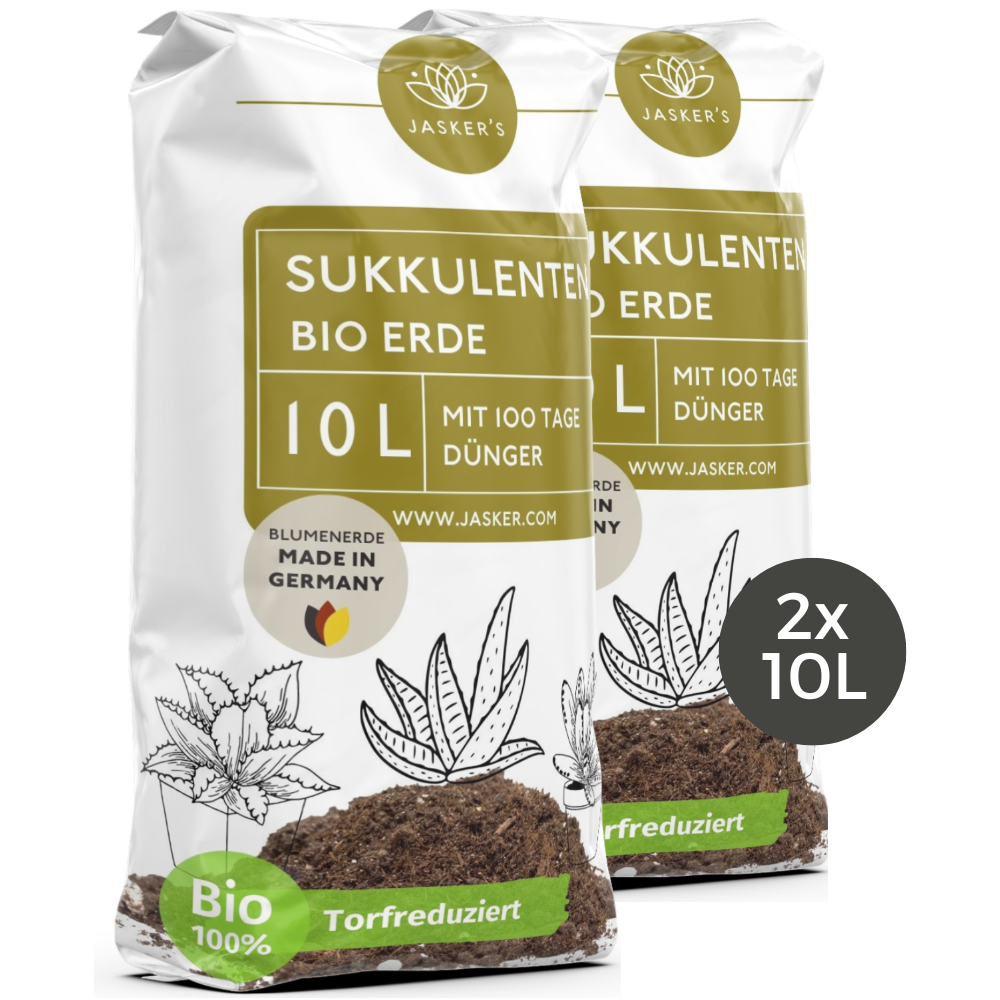 Sukkulentenerde 20 L mit Dünger