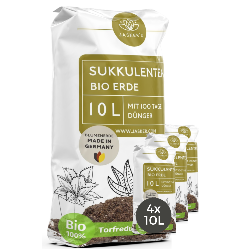 Sukkulentenerde 40 L mit Dünger