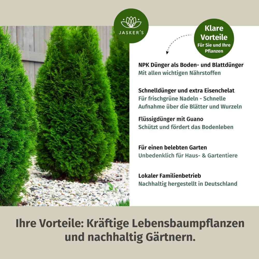 Thuja Dünger flüssig 500ml Konzentrat - Flüssigdünger für Koniferen