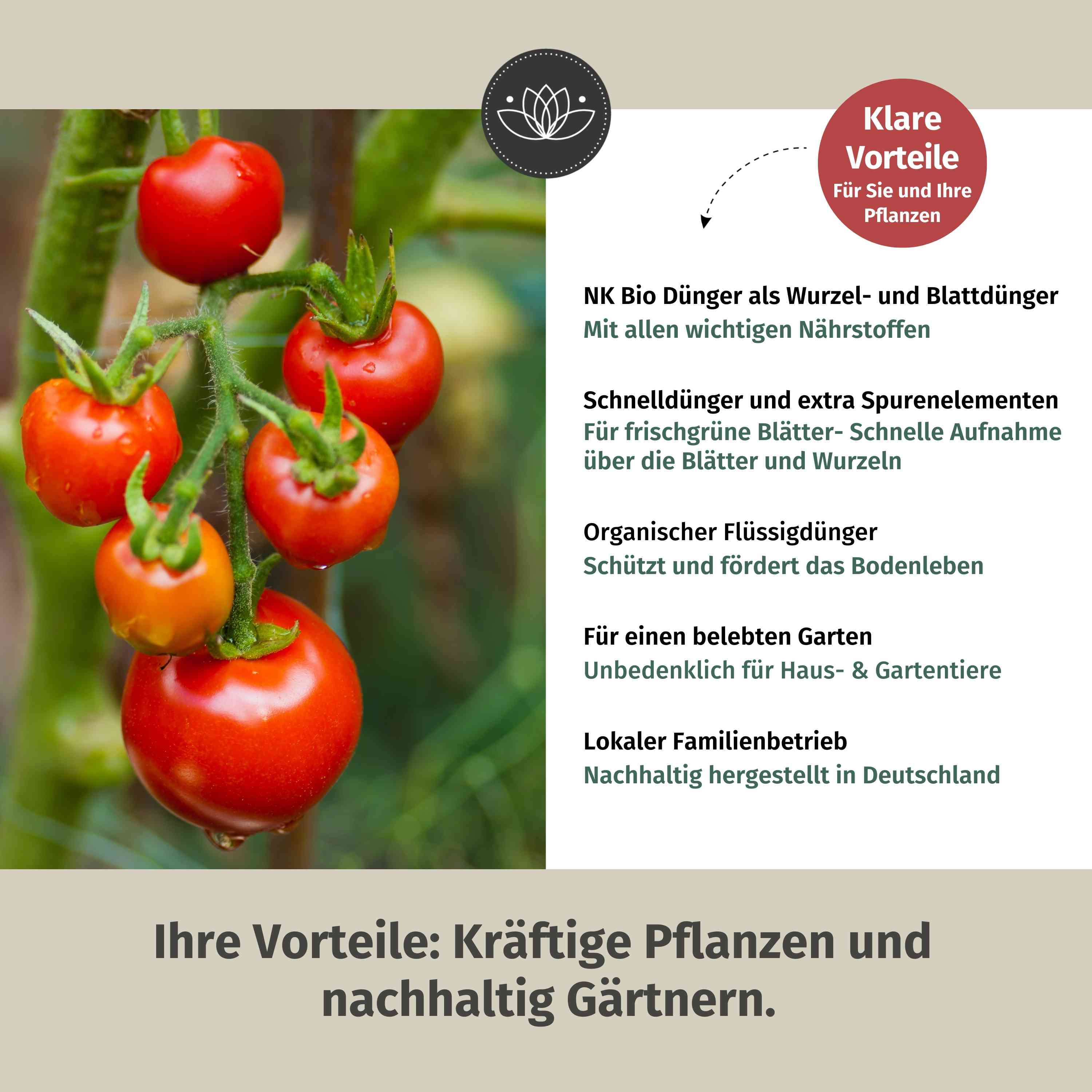 Tomatendünger Bio flüssig 1 Liter - Flüssigdünger für Tomaten