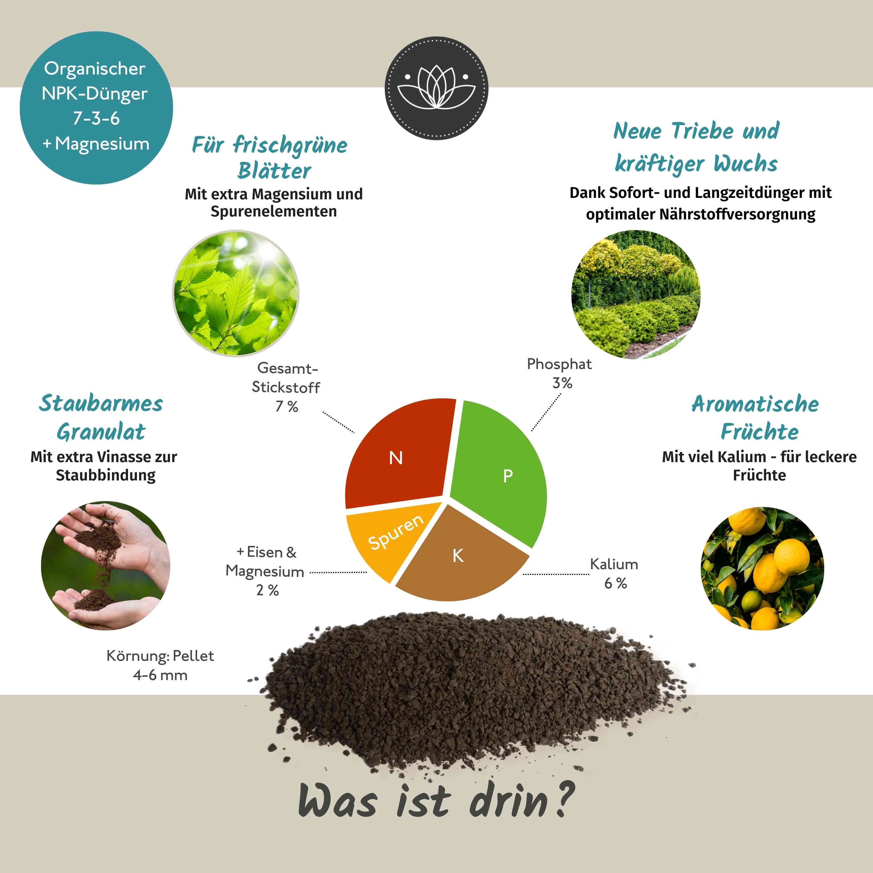 Baum Strauch & Heckendünger 900g I Bio Dünger