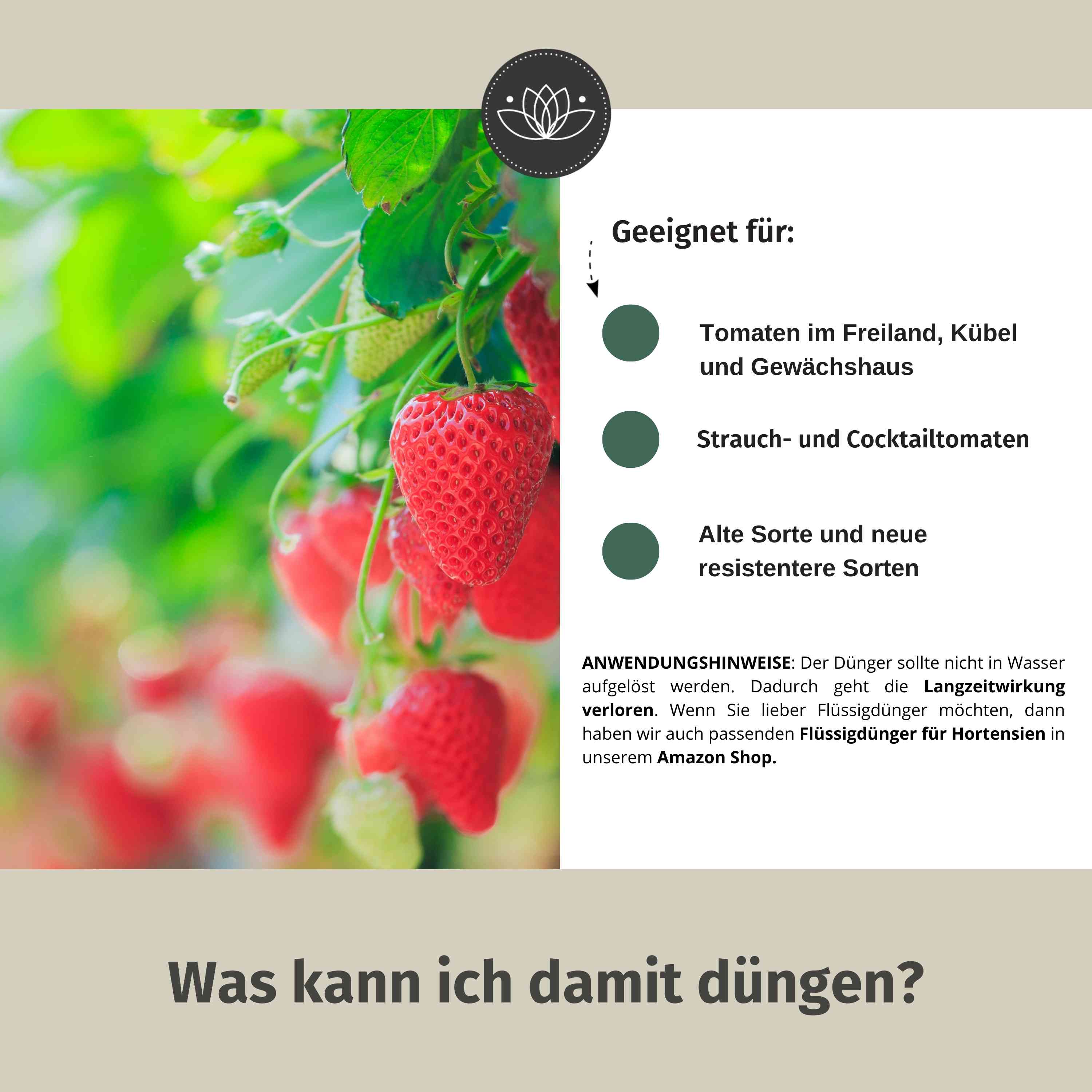 Erdbeerdünger | Optimaler Dünger Für Alle Erdbeer-Sorten