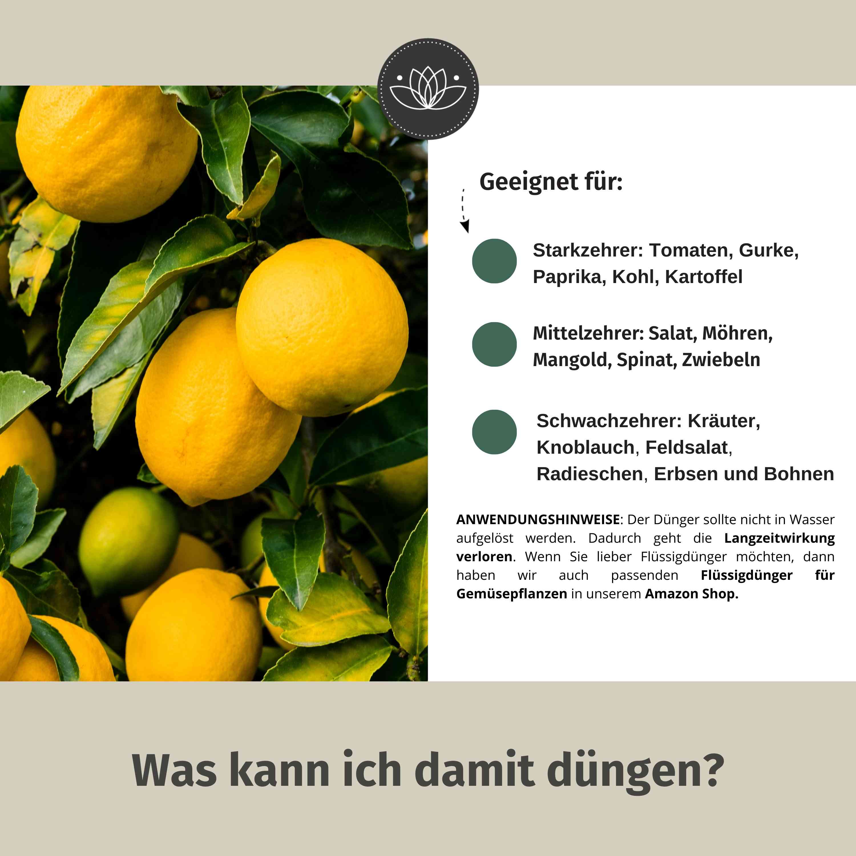 Zitrusdünger Bio Langzeit