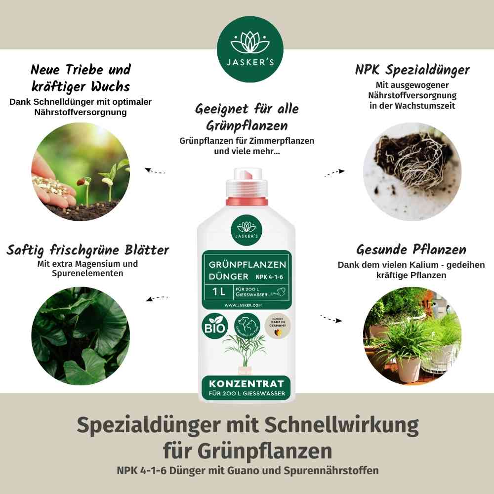 Grünpflanzen Dünger flüssig 1 Liter - Flüssigdünger für Grünpflanzen
