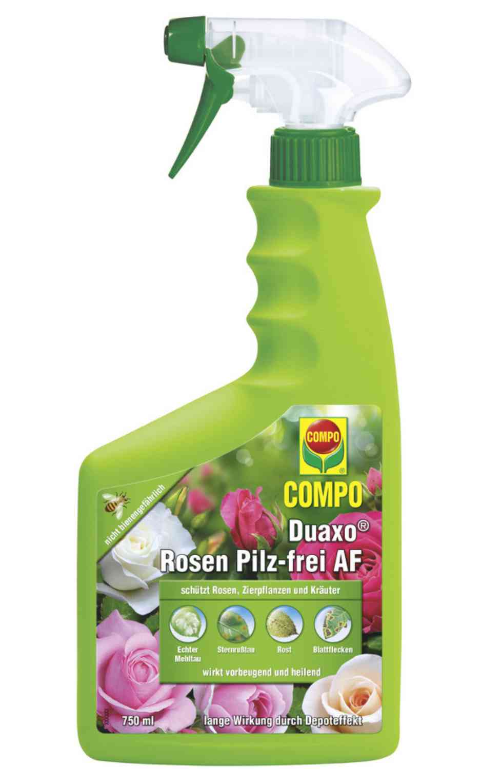 COMPO Duaxo Rosen Pilz-frei AF