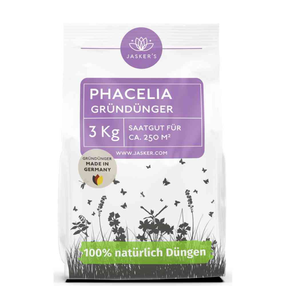 Phacelia Samen 3 kg