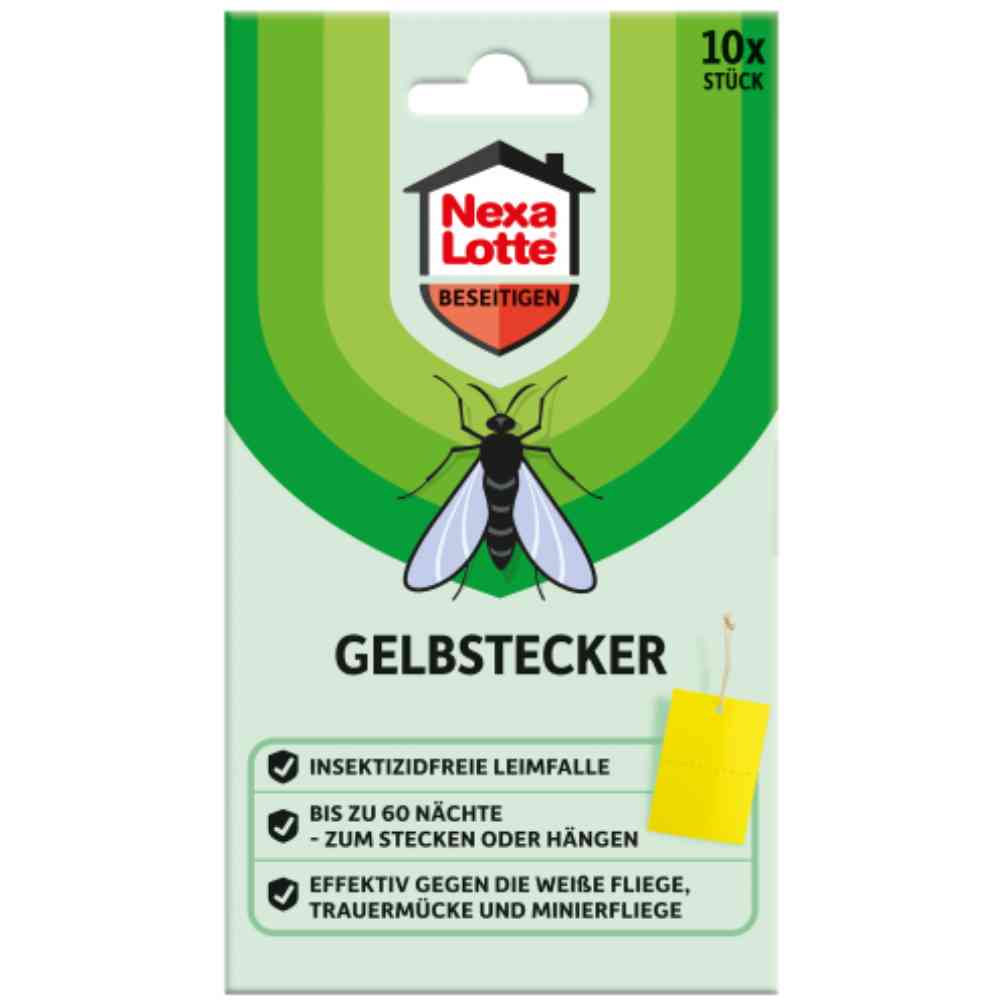 Nexa Lotte Gelbstecker für Topfpflanzen