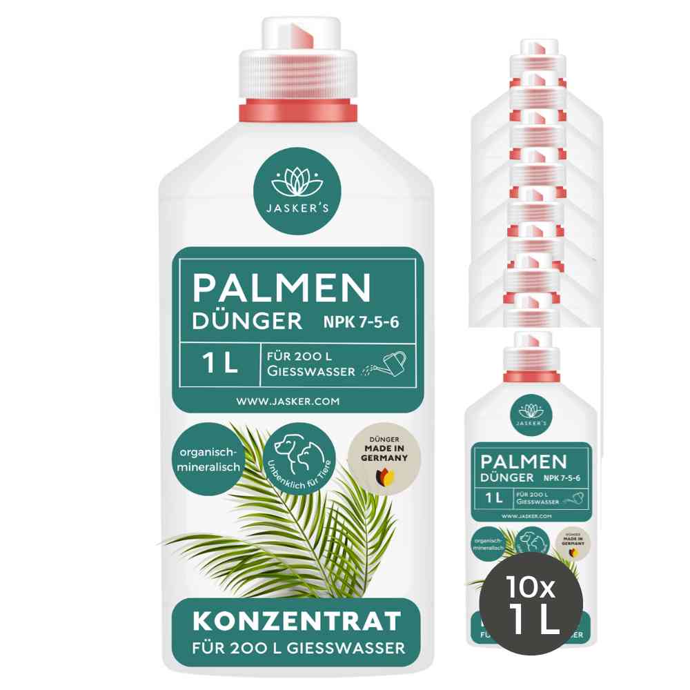 Palmendünger flüssig 10 Liter Konzentrat - Dünger für Palmen - Für alle Palmen-Arten