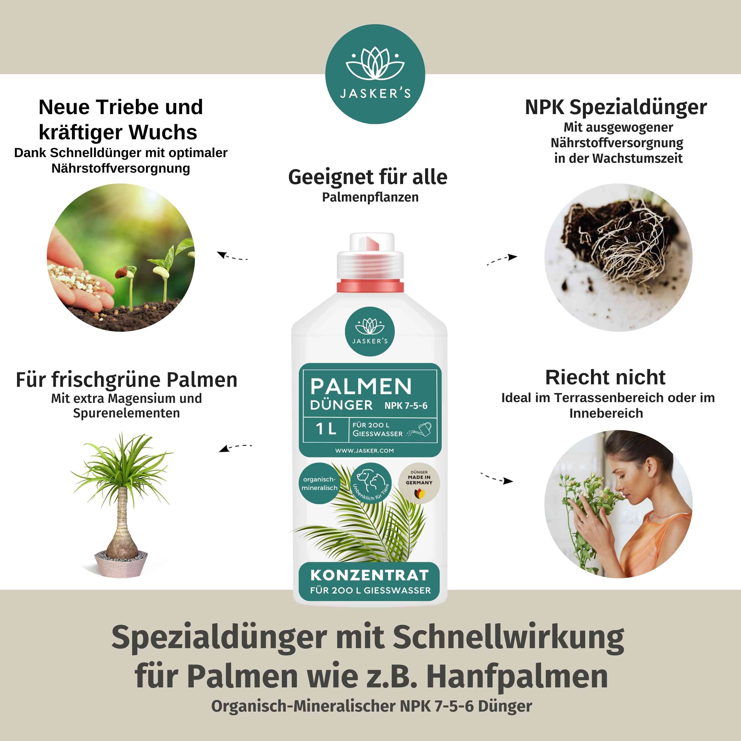 Palmendünger flüssig 2 Liter Konzentrat - Dünger für Palmen - Für alle Palmen-Arten