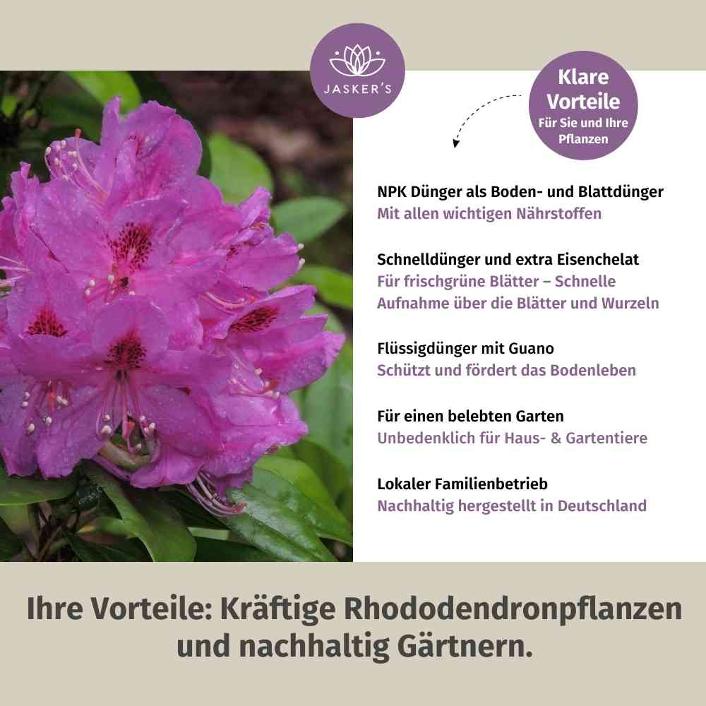 Rhododendron Dünger flüssig 1 L - Flüssigdünger für Rhododendron