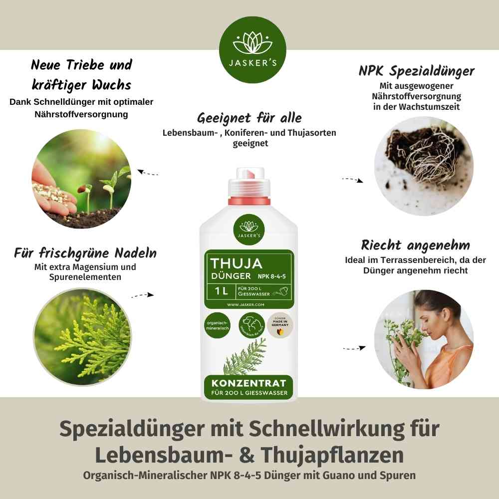 Thuja Dünger flüssig 2 Liter Konzentrat - Flüssigdünger für Koniferen