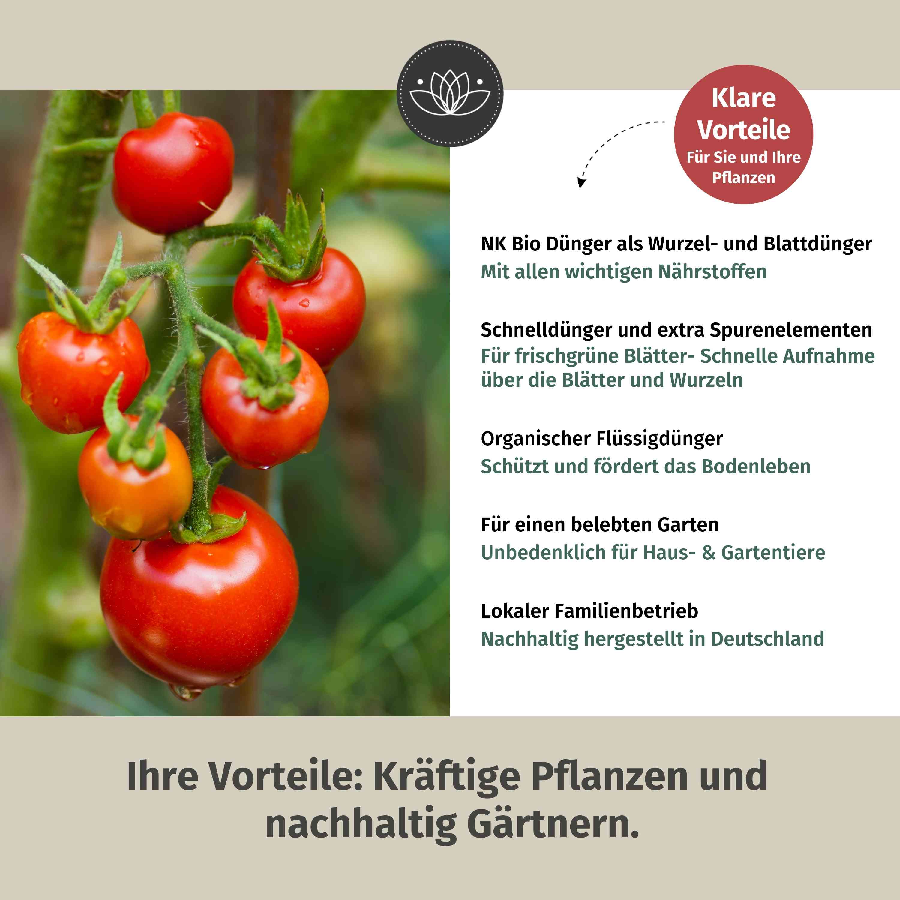 Bio Tomatendünger flüssig 1 Liter - Flüssigdünger für Tomaten