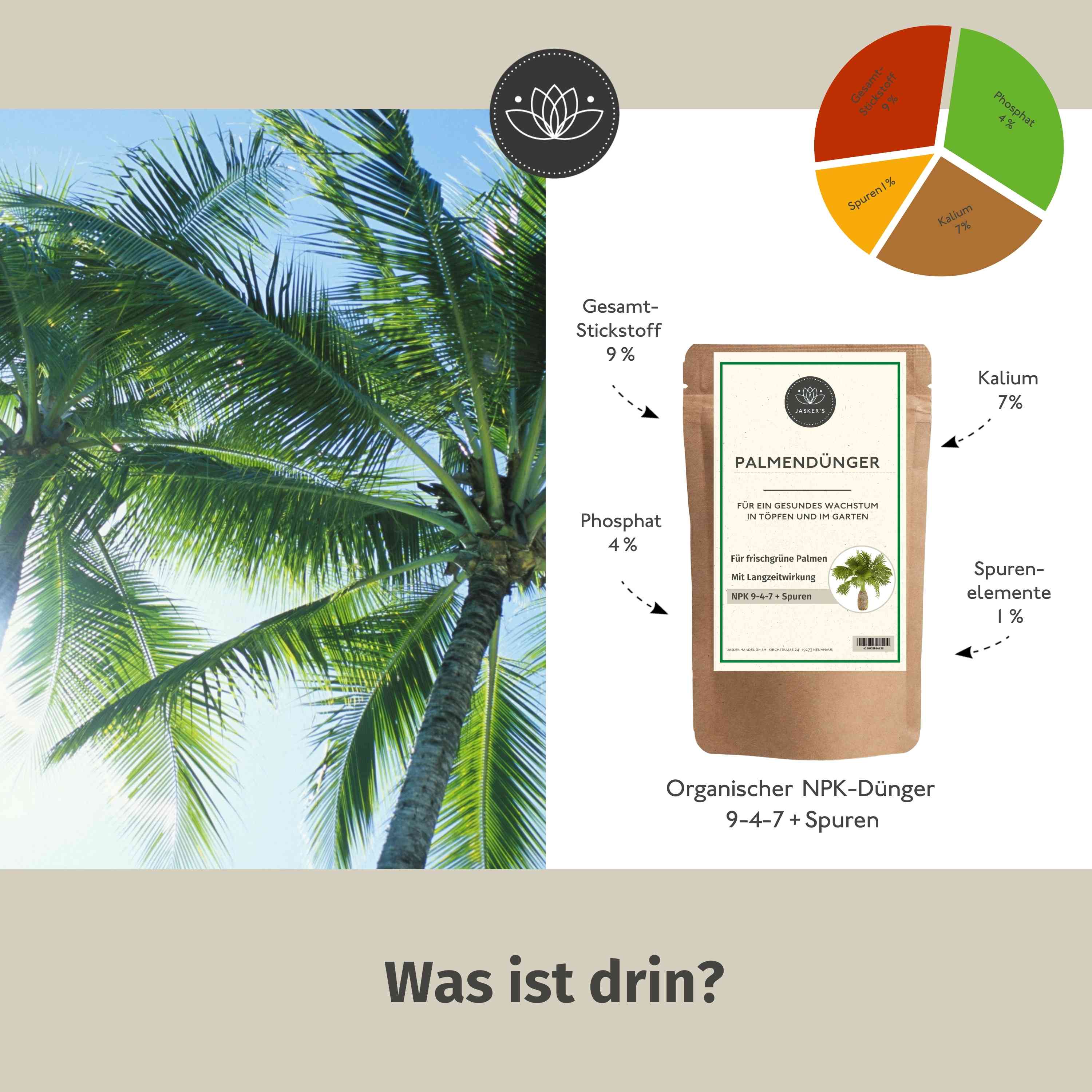 Palmen Dünger Granulat 900g - Für alle Palmen-Arten