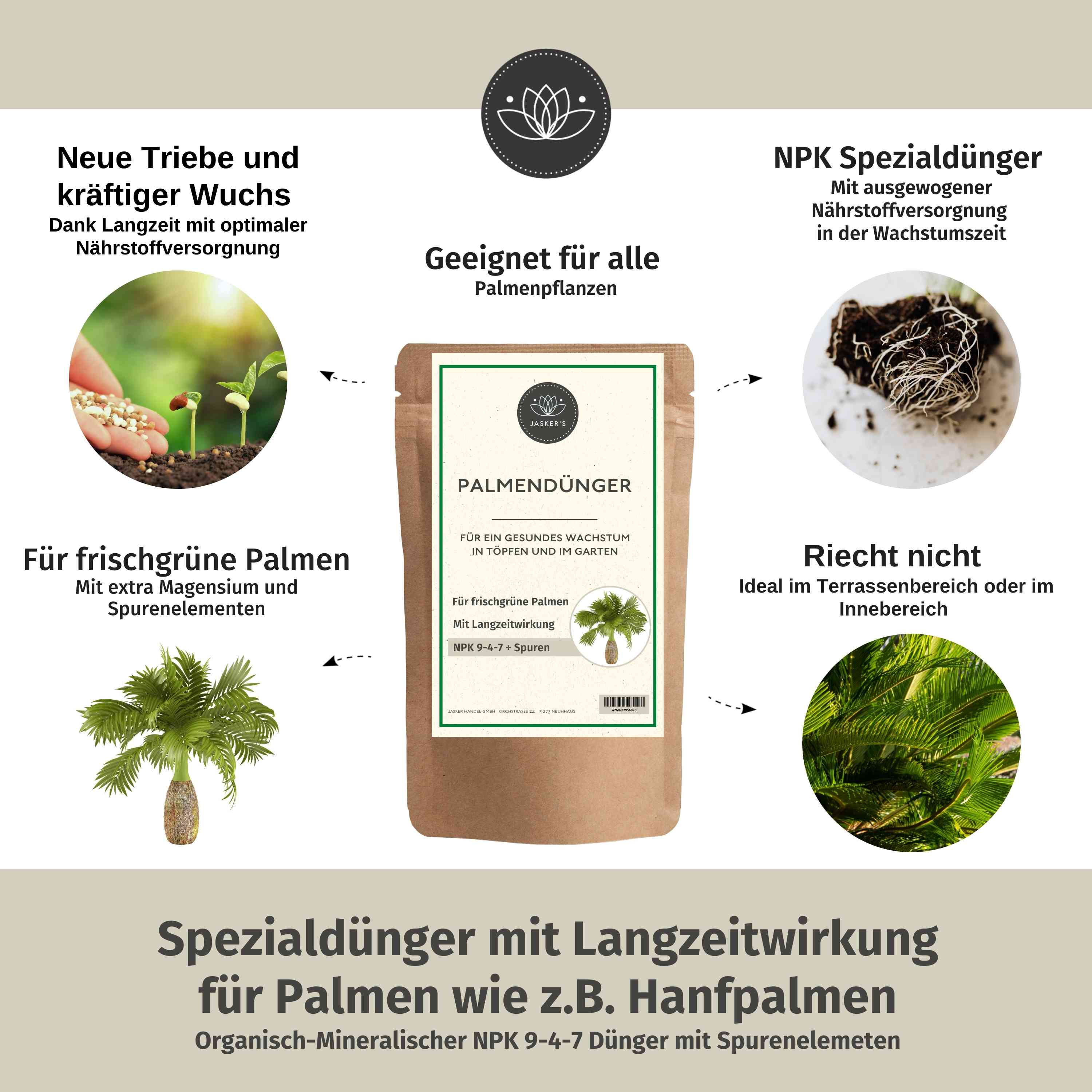 Palmendünger Granulat - Für alle Palmen-Arten